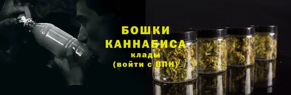 прущий лед Вязьма